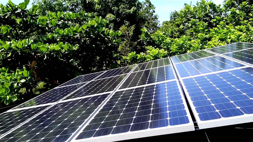 Chọn đúng loại pin sẽ giúp bạn tối ưu chi phí cho gia đình.