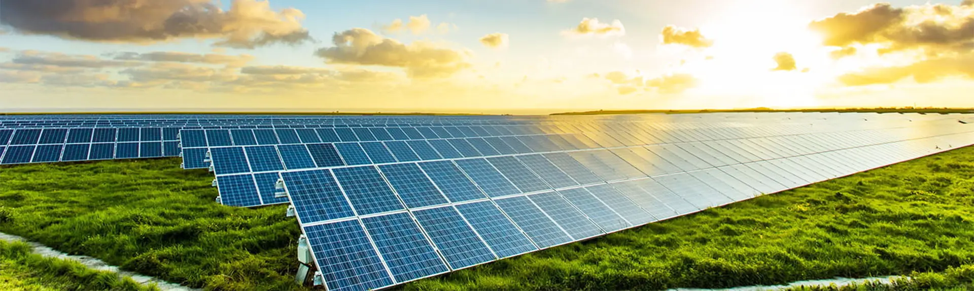 pin năng lượng mặt trời