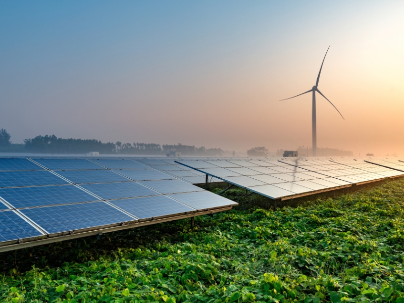 Hướng dẫn cấu hình thiết bị với RMCS của EVN